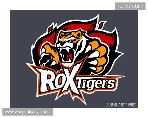 英雄联盟深度解析：FPX战队如何通过团队协作实现辉煌成就