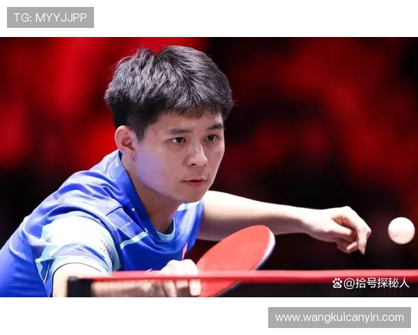 乒乓球巨献：探秘杭州乒乓球队的耐力