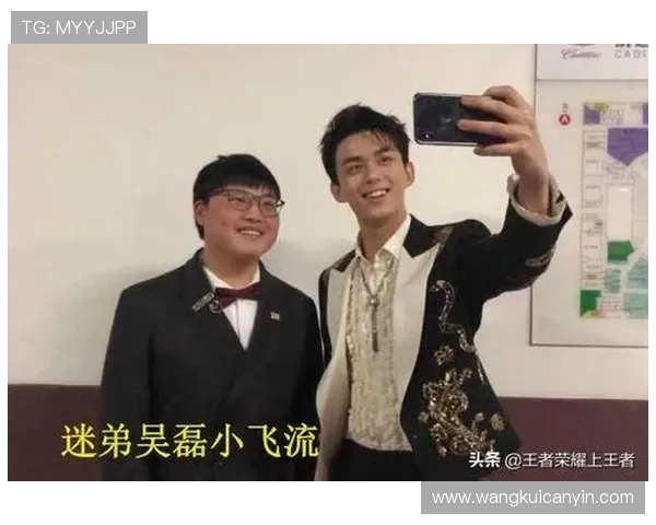 吴磊畅谈王者荣耀成长之路与未来展望的专访回顾